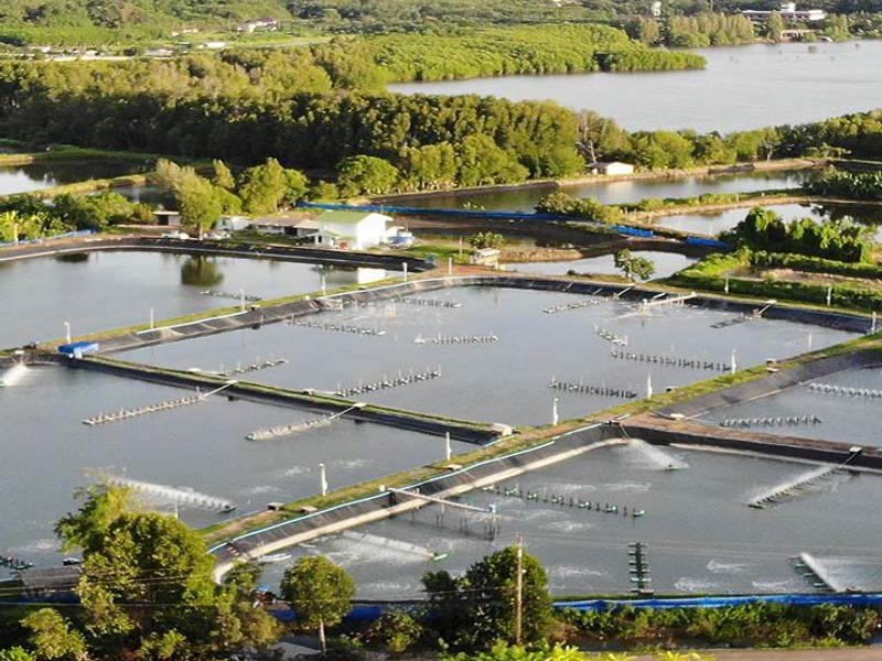 Revestimiento del tanque de agua de acuicultura