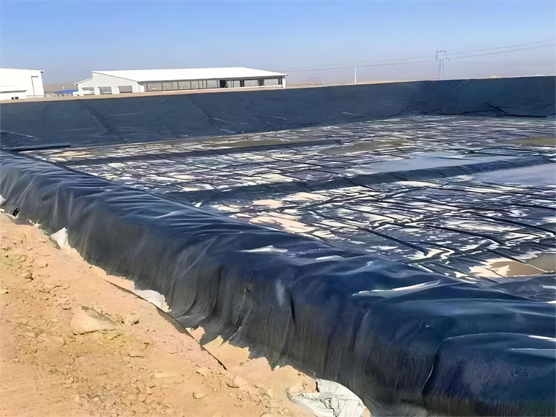 Forro de Presa de Geomembrana de HDPE Para Minería