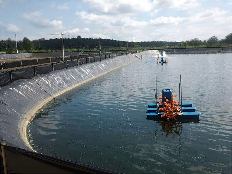 Geomembrana de HDPE de 0,5 mm Para la Cría de Camarones