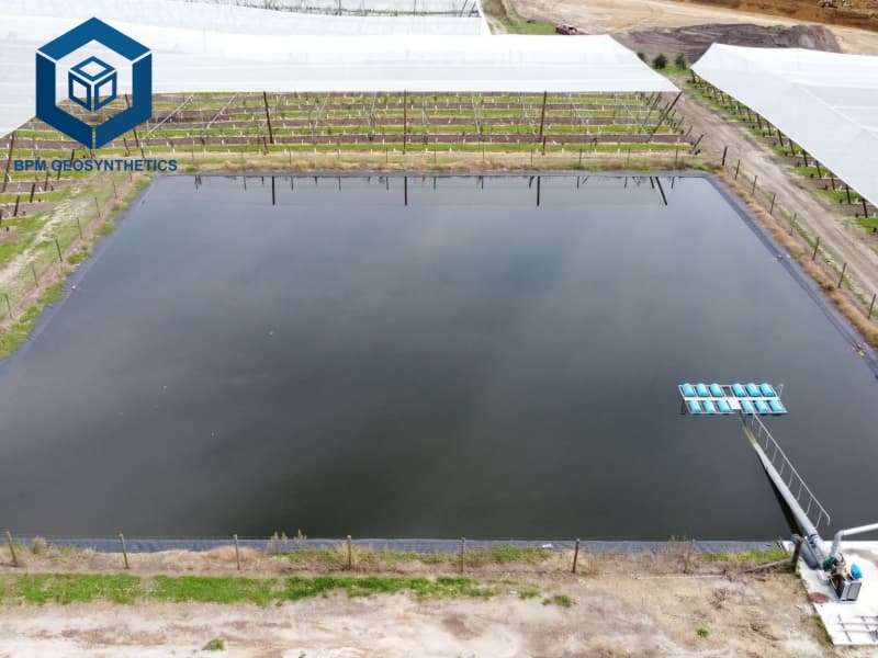 Geomembrana HDPE para Estanque de Peces y Acuicultura